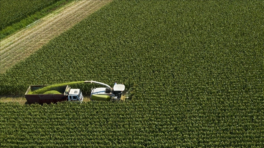 امور اراضی، یکی از بازیگران اصلی تحقق امنیت غذایی جهاد کشاورزی