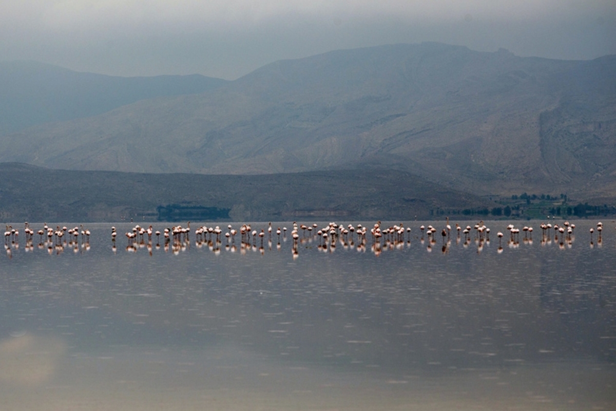 بارش های کشور از ابتدای سال آبی جاری (ابتدای مهر۱۴۰۴) در آغازین روزهای نیمه دوم بهمن ماه از رشد ۱۰۵ درصدی نسبت به مدت مشابه سال گذشته برخوردار شده است ولی همچنان نسبت به دوره بلندمدت ۳ درصد عقب ماندگی دارد.