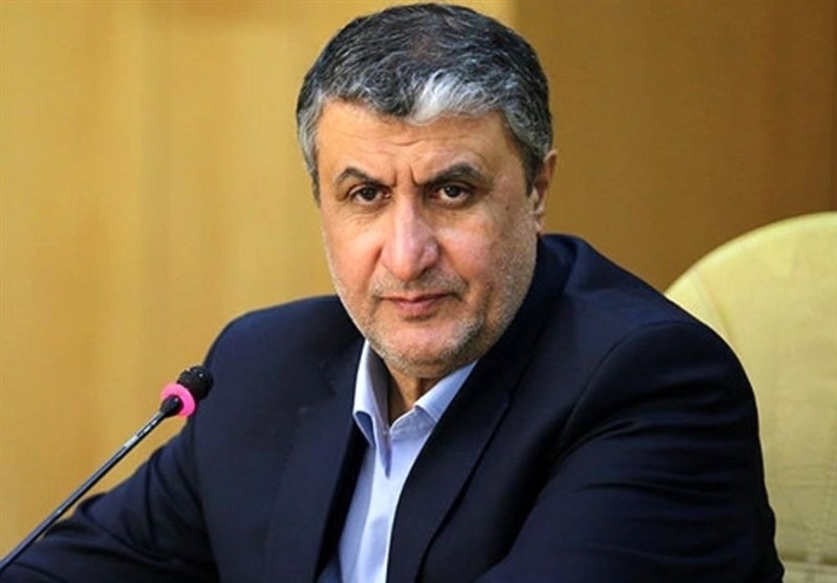 اسلامی، رئیس سازمان انرژی اتمی کشورمان گفت: بازرسی فقط از سایت‌های آسیب ندیده انجام شده است.