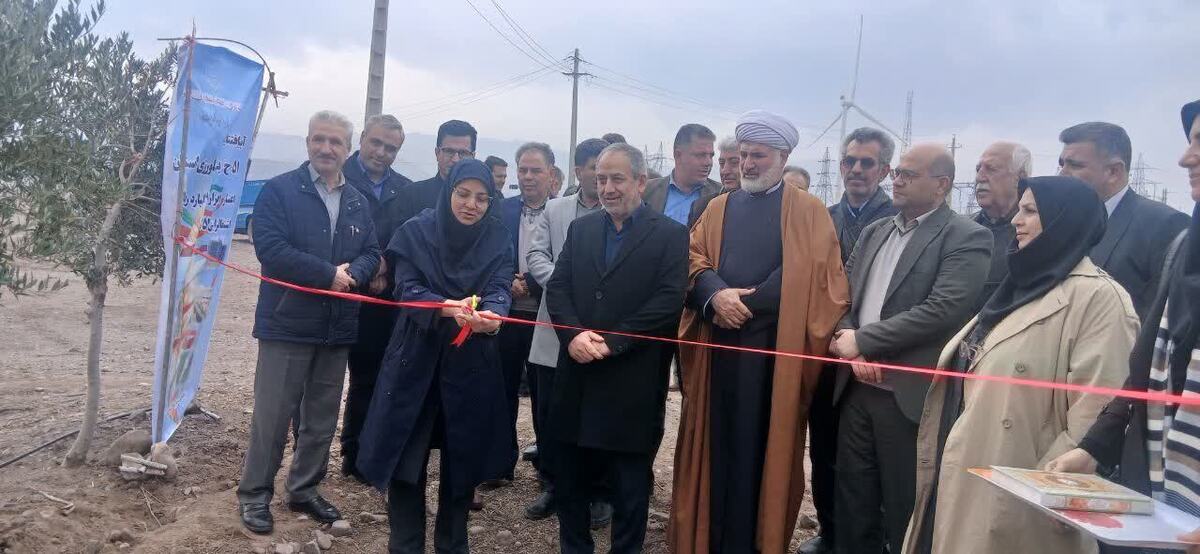 ۵۱ پروژه تولیدی کشاورزی در استان قزوین با حضور مریم جلیلی‌مقدم، معاون وزیر جهاد کشاورزی و رئیس سازمان حفظ نباتات کشور، افتتاح و به بهره‌برداری رسید.