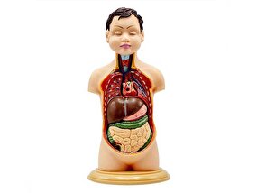 دست ‌و پای سرد پیام خاموش بدن