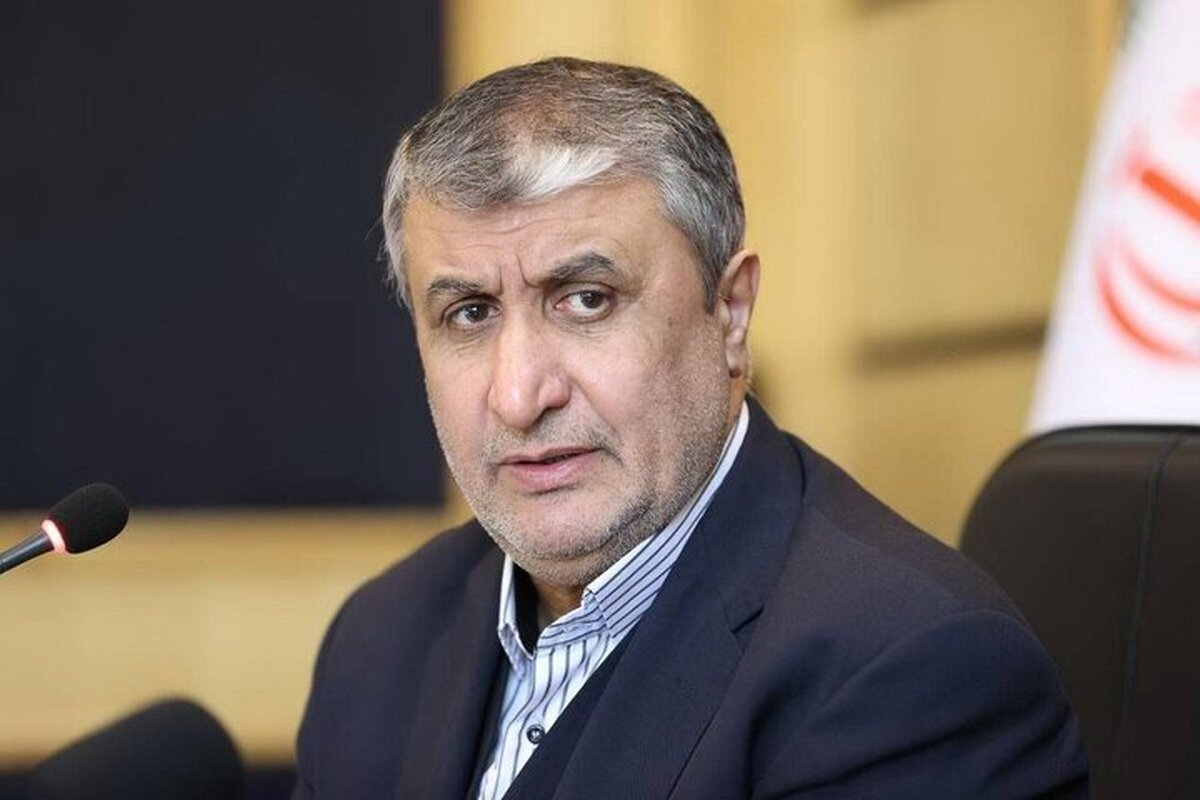 رئیس سازمان انرژی اتمی از رونمایی دستاوردهای جدید در روزهای آینده خبر داد و افزود: حدود ۲۰ دستاورد دیگر نیز در ادامه معرفی خواهد شد که به‌تدریج در معرض دید و قضاوت مردم قرار می گیرند.