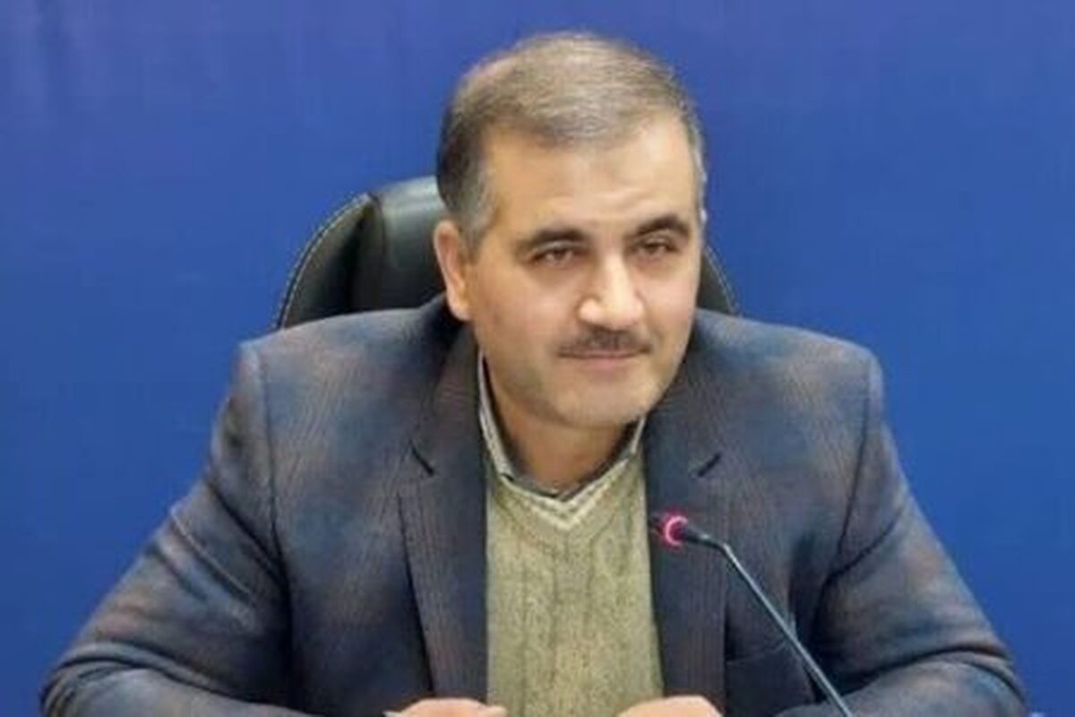 بخشدار بخش مرکزی همدان گفت: داوطلبان شوراهای روستایی تا ۳۰ بهمن فرصت ثبت‌نام دارند.