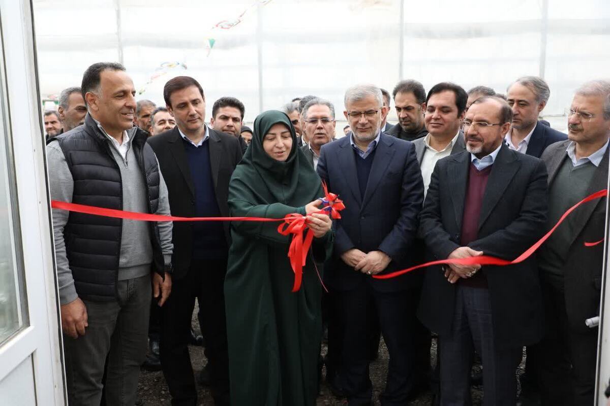 معاون رییس جمهور و رییس سازمان حفاظت محیط زیست کشور گفت: رویکرد دولت بر تلفیق توسعه و حفاظت از محیط‌زیست معطوف شده است.