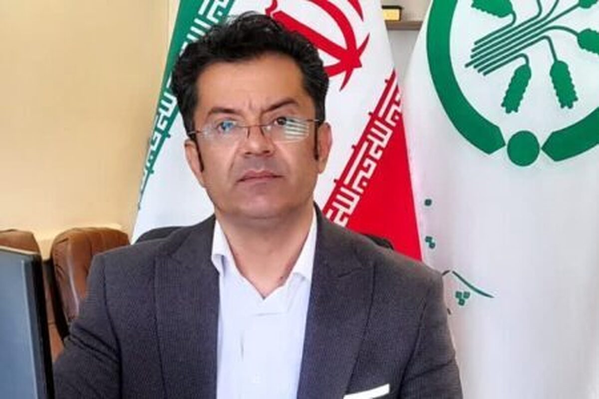 بر اساس ارزیابی دفتر مرکزی شرکت خدمات حمایتی کشاورزی کشور از عملکرد استانی در ۱۰ماهه نخست سال جاری، شرکت خدمات حمایتی کشاورزی استان همدان با انجام ۴۵۰ عملیات نظارت میدانی و بازرسی تخصصی از شبکه توزیع کودهای کشاورزی یارانه‌ای، موفق به کسب رتبه نخست کشوری در حوزه پایش و کنترل عملکرد کارگزاران شد.