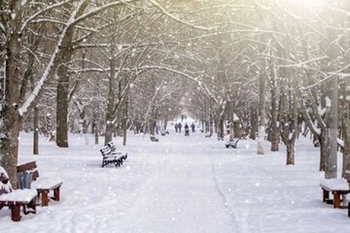 یک کارشناس سازمان هواشناسی گفت: با ورود موج جدید بارش‌ها به کشور از امشب، بارش برف و باران تا پایان وقت دوشنبه (۲۷ بهمن) در ۲۹ استان پیش‌بینی می‌شود.