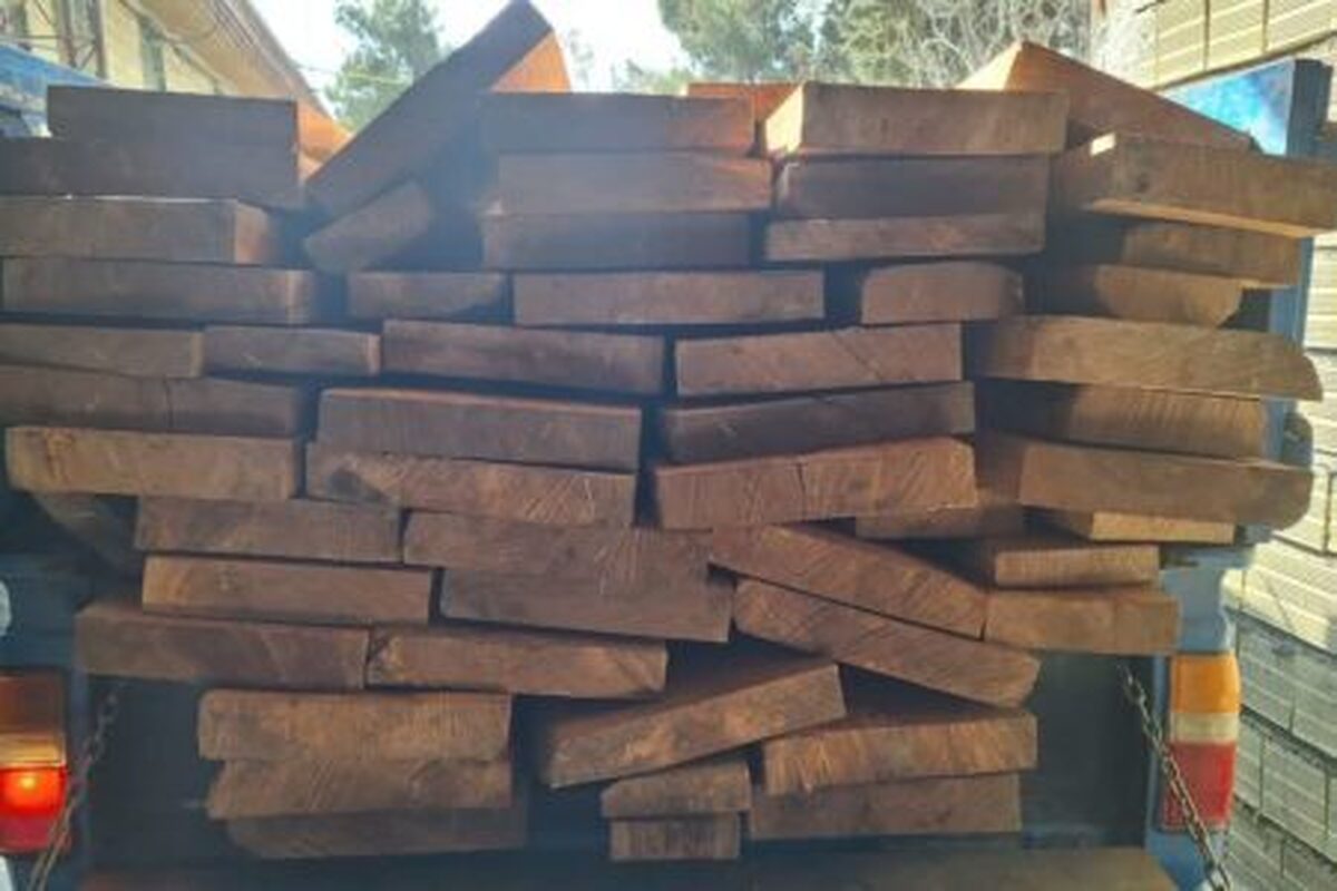 پاسگاه ویژه حفاظت منابع طبیعی و آبخیزداری شهرستان ملایر طی یک عملیات رصد و بازرسی منسجم از مراکز فروش چوب در سطح شهرستان، موفق به کشف و ضبط محموله سنگینی به وزن تقریبی حدود دو تن چوب قاچاق از گونه ارزشمند راش شد.