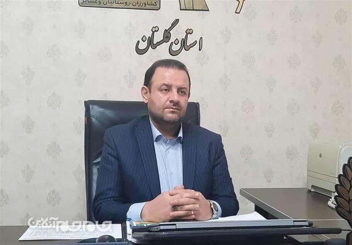 مدیرصندوق بیمه اجتماعی روستاییان و عشایر گلستان از واریز همزمان عیدی وبسته معیشتی به حساب مستمری‌بگیران خبر داد.