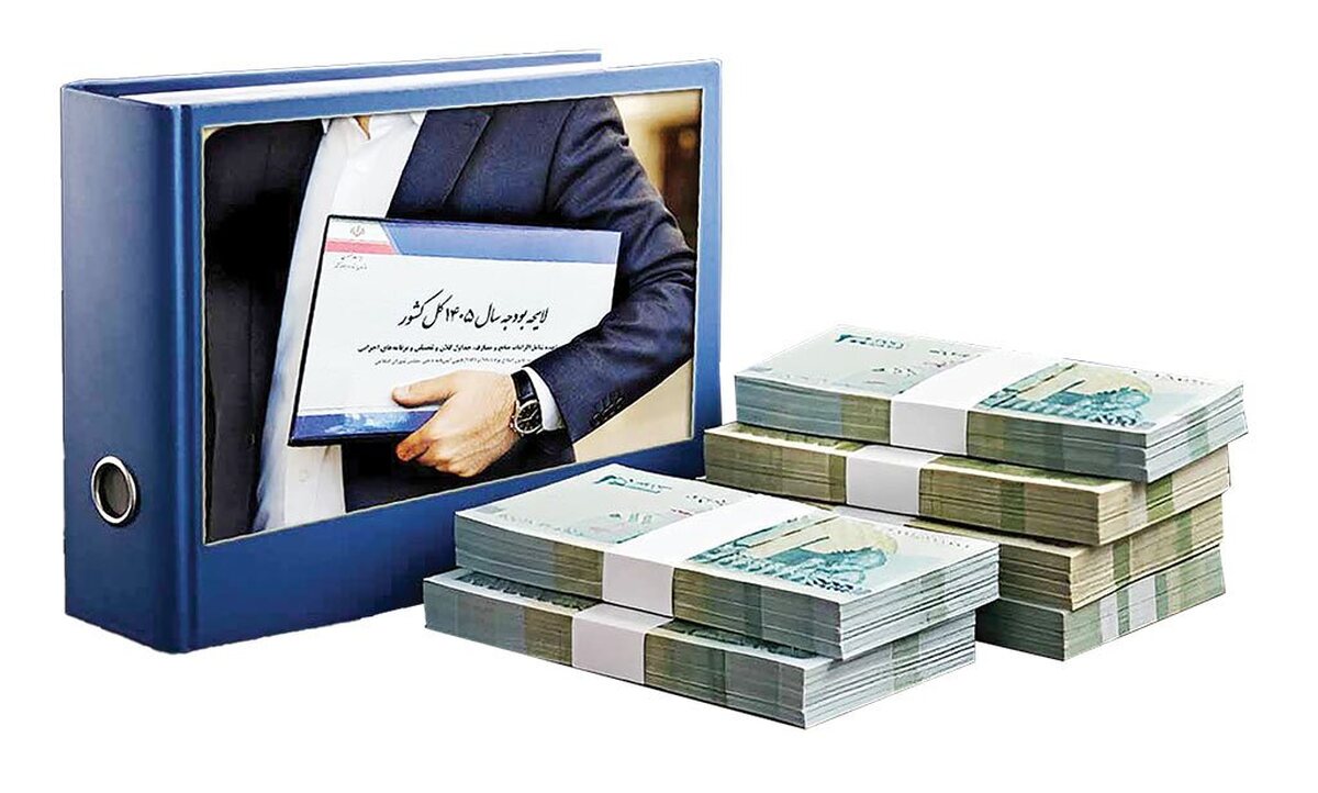 اوایل دی ماه بود که لایحه بودجه سال آینده به بهارستان رسید. کمیسیون تلفیق پس از بررسی این لایحه در ۸دی، آن را رد کرد و معتقد بود افزایش حقوق کارمندان و بازنشستگان به میزان تورم افزایش نیافته و این موضوع می‌تواند بر قدرت خرید خانوار تاثیر زیادی بگذارد. فارغ از این موضوع چهار ایراد دیگر نیز مطرح شد و روز ۹دی رئیس‌جمهور طی نامه‌ای به رئیس مجلس اعلام کرد دولت آمادگی کامل دارد اصلاحات لازم را در زمینه موضوعات مربوط به معیشت، کالابرگ، مالیات و حقوق و مزایا در لایحه بودجه ۱۴۰۵ اعمال کند.