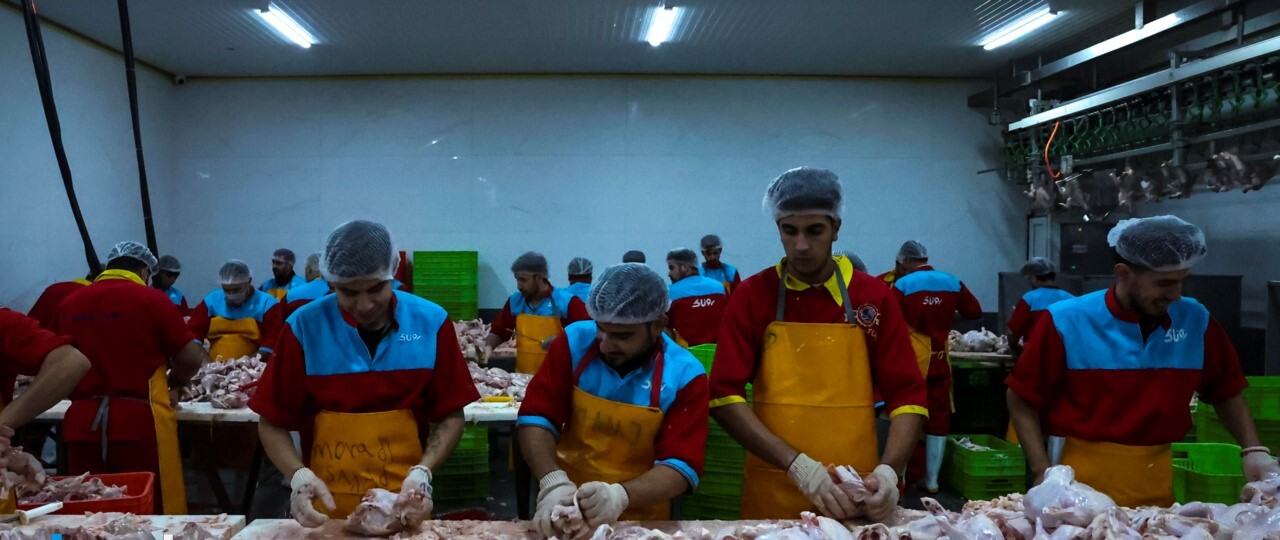 قرارداد حمایتی برای تولید ۲ هزار و ۶۰۰ تن گوشت مرغ در خراسان رضوی امضاء شد قرارداد حمایتی برای تولید ۲ هزار و ۶۰۰ تن گوشت مرغ در خراسان رضوی امضاء شد