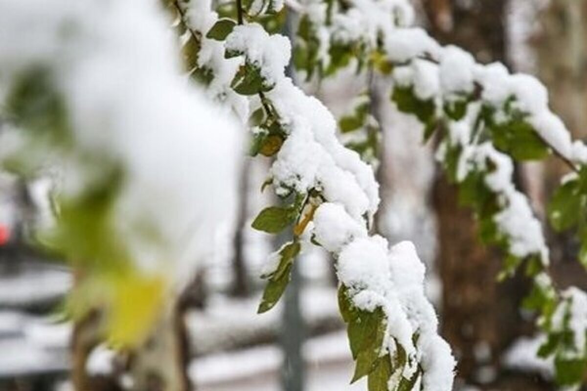 اداره کل هواشناسی استان تهران اعلام کرد: از اواخر وقت امروز تا روز پنج‌شنبه (۸ تا ۹ بهمن) با نفوذ سامانه بارشی، افزایش ابر و وزش باد، ارتقای کیفیت هوا و در بعضی ساعت‌ها، بارش برف و باران و وزش باد شدید مورد انتظار است.