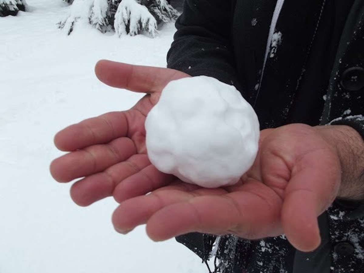 از آن زمان که یادم می‌آید برف و برف‌بازی را دوست داشتم اما ما نسلی هستیم که برف کمتری را نسبت به نسل‌های گذشته دید‌ه‌ایم.