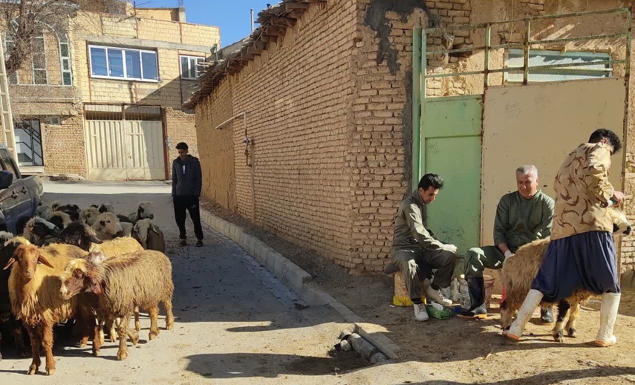 گام موثر چهارمحال و بختیاری در توسعه دامپروری مدرن گام موثر چهارمحال و بختیاری در توسعه دامپروری مدرن