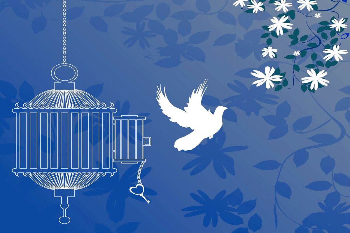 همزمان با سفر غلامعلی محمدی، رئیس سازمان زندان‌ها و اقدامات تأمینی و تربیتی کشور، به استان البرز، ۱۳۷ زندانی با بهره‌مندی از ارفاقات قانونی آزاد شدند.