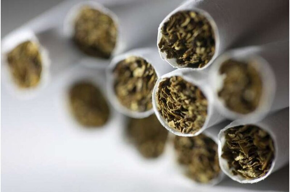 سازمان جهانی بهداشت (WHO) اعلام کرده است با وجود کاهش کلی مصرف دخانیات، سیگارهای الکترونیکی و محصولات نوین دخانی باعث افزایش مصرف در میان جوانان اروپا شده است.