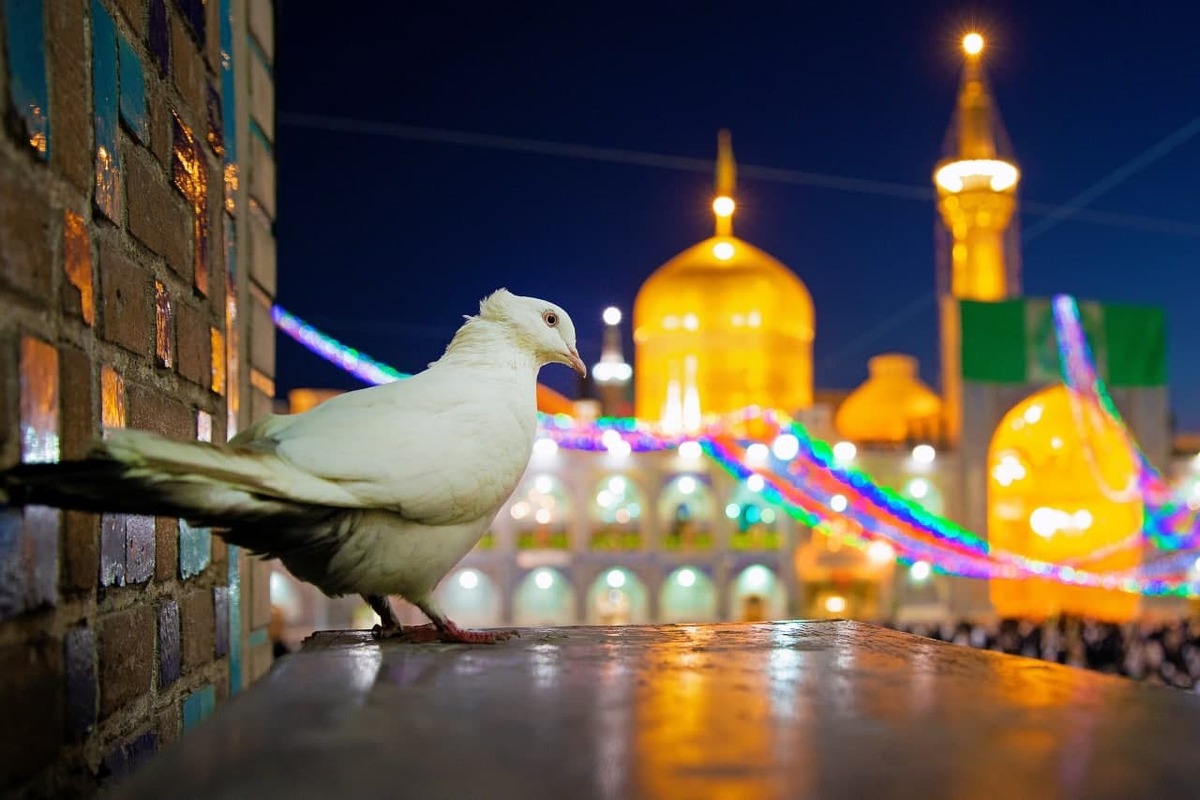 از کودکی صدای صحن حرم تو را به خاطر دارم. نه‌فقط صدای اذان و نوای نقاره‌خانه، بلکه زمزمه‌هایی را که از دل زائران بلند می‌شد، یواشکی‌های زیرلبی که نه بلند بودند و نه بی‌صدا.