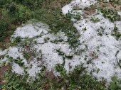 خسارت ۲۰ تا ۱۰۰ درصدی تگرگ به باغ‌های ملکان