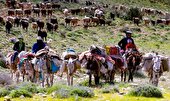 گردشگری عشایر با چاشنی کوچ