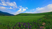 روزهای بهاری و گرم پیش‌روی مازندران
