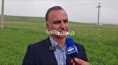 خرید تضمینی ۱.۷ میلیون تن گندم در کشور