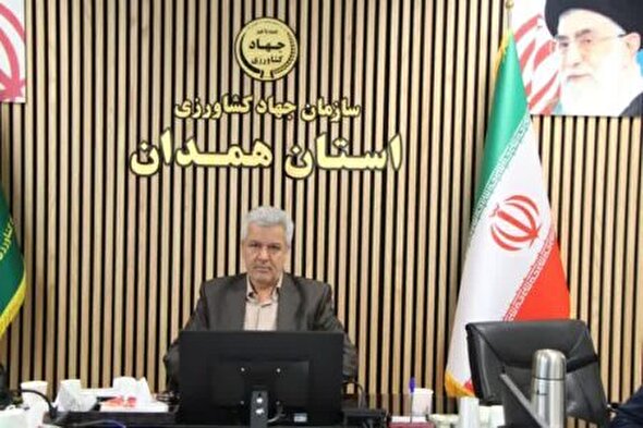 ۸هزار و ۵۰۰ هکتار از اراضی همدان زیر کشت سیب‌زمینی بهاره