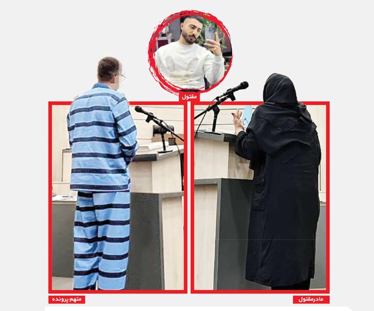 دومین جلسه رسیدگی به اتهام متهمان پرونده قتل پسر جوان با سم مار در شعبه سیزدهم دادگاه کیفری یک استان تهران برگزار شد. در این جلسه دو نفر دیگر از متهمان از خود دفاع کردند اما نوبت به دفاعیات عموی متهم نرسید.