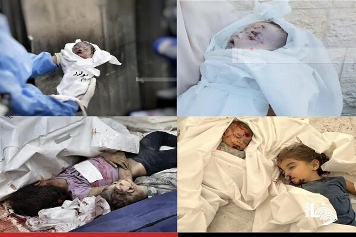 وزارت بهداشت فلسطین در نوار غزه اعلام کرد که شمار شهدای حملات ارتش رژیم صهیونیستی به نوار غزه به ۵۳ هزار و ۶۵۵ نفر رسیده است.