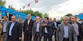 واردات چای با ارز آزاد شد تا تولید داخلی جان بگیرد