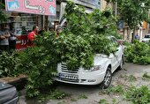 عکس | هشدار هواشناسی نسبت به ورود طوفان تندری به تهران