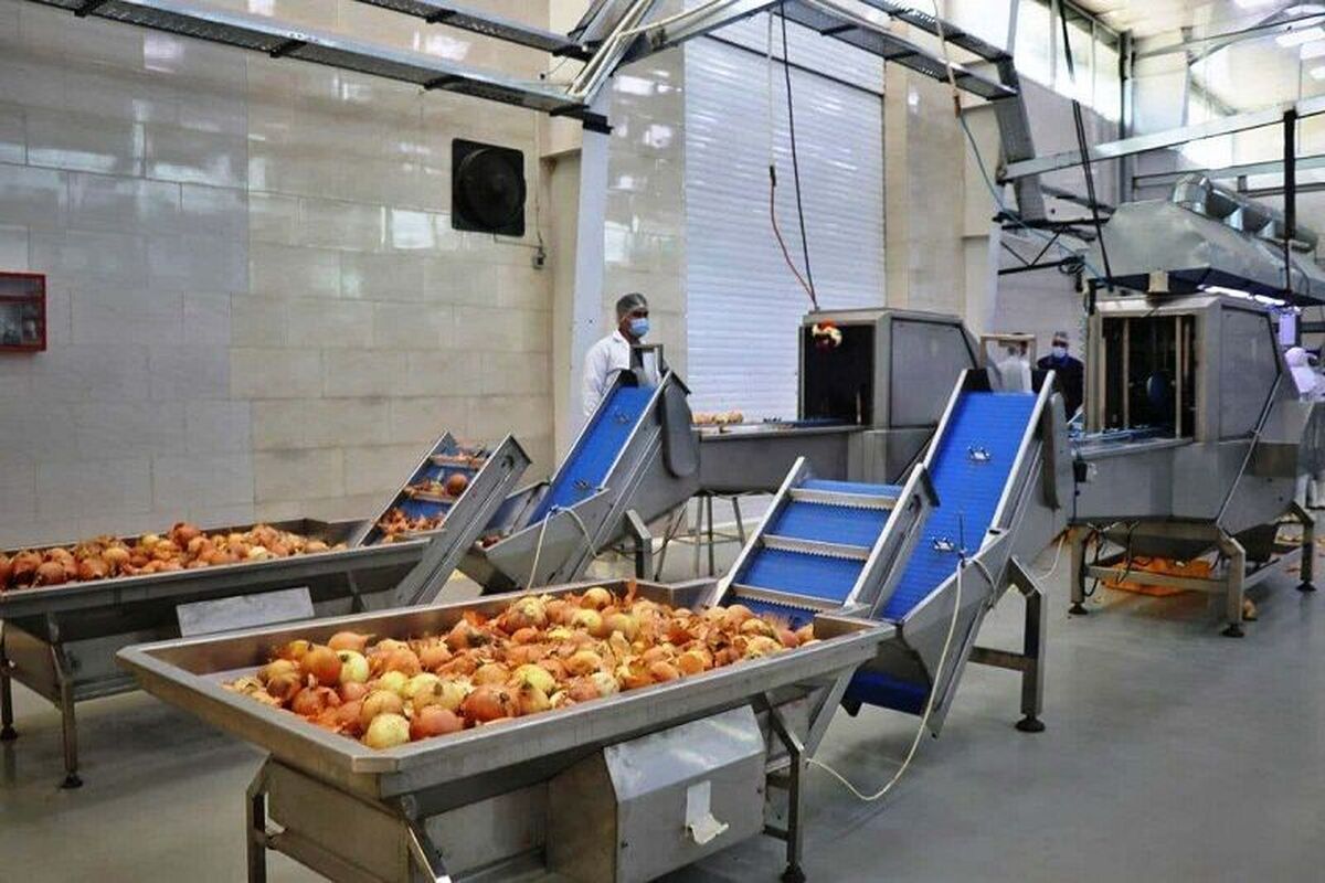 ایجاد ظرفیت فرآوری ۱۹۶ هزار تن محصولات کشاورزی