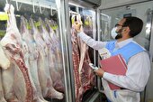 ضبط و معدوم سازی ۲۰۰ کیلوگرم فرآورده‌های خام دامی تاریخ مصرف گذشته در شوش