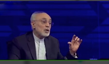 ببینید | صالحی: نامه آمریکا به ایران خیلی مخشوش است / حتی زبان انگلیسی آن هم مشکل دارد