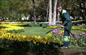 اجرای طرح جداسازی آب شرب از فضای سبز در البرز