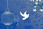 آزادسازی ۲۰ زندانی جرایم مالی به مناسبت عید غدیر