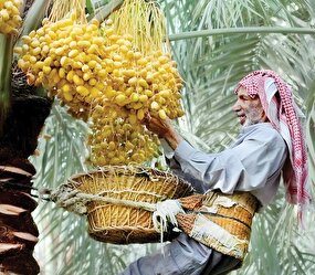 ایران جان به وقت خوزستان