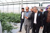 منابع طبیعی گیلان در اختیار سرمایه‌گذاران کشاورزی و تولیدی قرار می‎گیرد