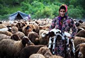 کاهش اثرات مخرب اقلیمی در جامعه عشایری خراسان رضوی