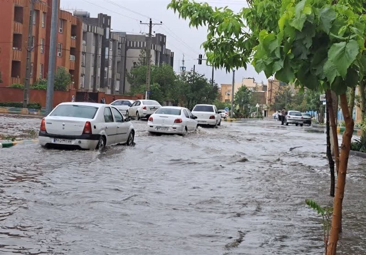 محمدمهدی شریفی، مدیر روابط عمومی شرکت آب منطقه‌ای فارس گفت: میانگین وزنی بارندگی سال آبی جاری در فارس نسبت به میانگین ۵۶ ساله، بالغ بر ۳۶ درصد کاهش داشته است.