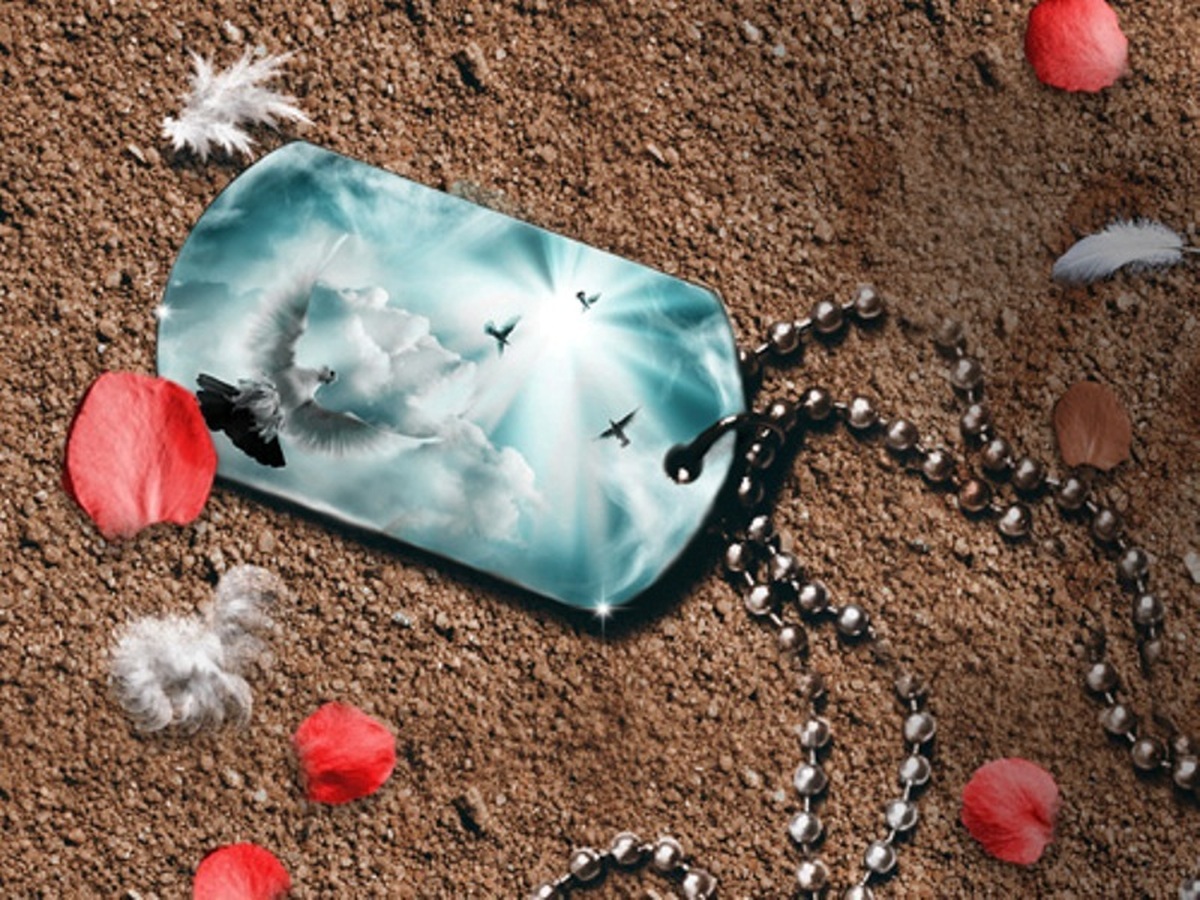 ببینید | کنگره ملی شهدای استان البرز با هدف ترویج فرهنگ ایثار و شهادت برگزار خواهد شد