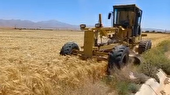معدوم‌سازی ۱۲ هکتار مزرعه در اقلید