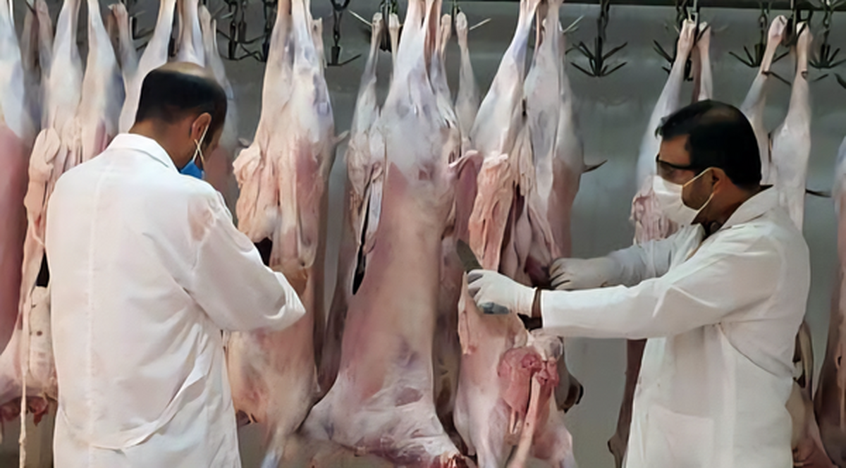 غلامرضا سرگزی، مدیرکل دامپزشکی سیستان و بلوچستان از استقرار ۶۱ اکیپ نظارتی متشکل از ۳۳ دامپزشک، ۸۳ ناظر بهداشتی و ۱۴ ناظر شرعی برای نظارت بر ذبح دام‌های نذری تاسوعا و عاشورا خبر داد.