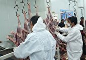 فعالیت ۹۶ اکیپ شرعی و بهداشتی دامپزشکی خوزستان در تاسوعا و عاشورای حسینی