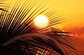 پیش بینی افزایش دما در خوزستان