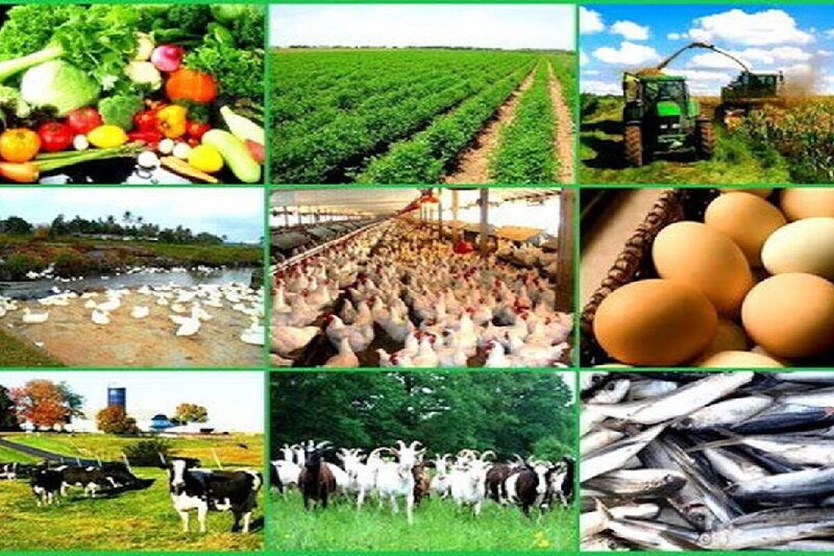 کشاورزی، دامداری و شیلات، مثلث طلایی تولید