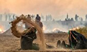 ببینید | دلیل سکوت خواص و نخبگان در جریان کربلا چه بود؟