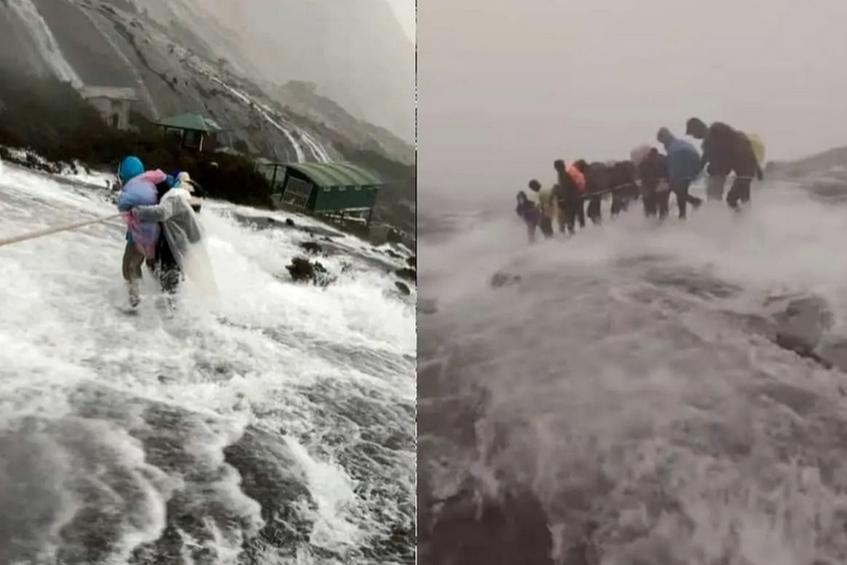 ببینید | سیلاب در کوه!