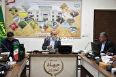 آغاز خرید توافقی سیب زمینی در آذربایجان شرقی