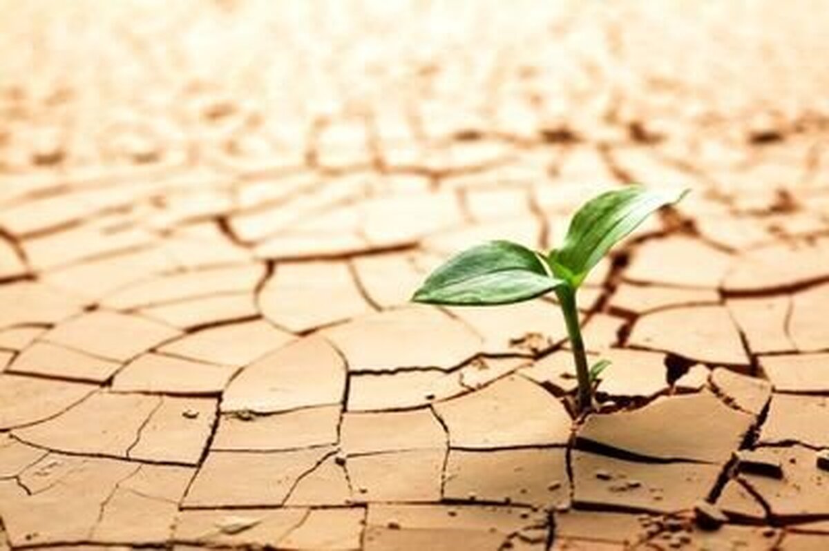 بحران کم آبی در استان البرز