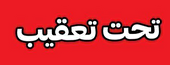 پلیس در تعقیب مخلان نظم و امنیت