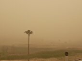 گرد و غبار کرمانشاه را فرا می‌گیرد